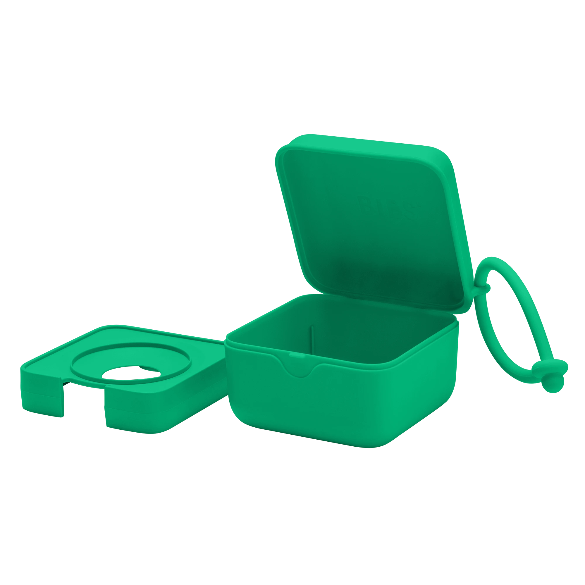 Bibs Pacifier Box Emzik Kutusu- Cactus