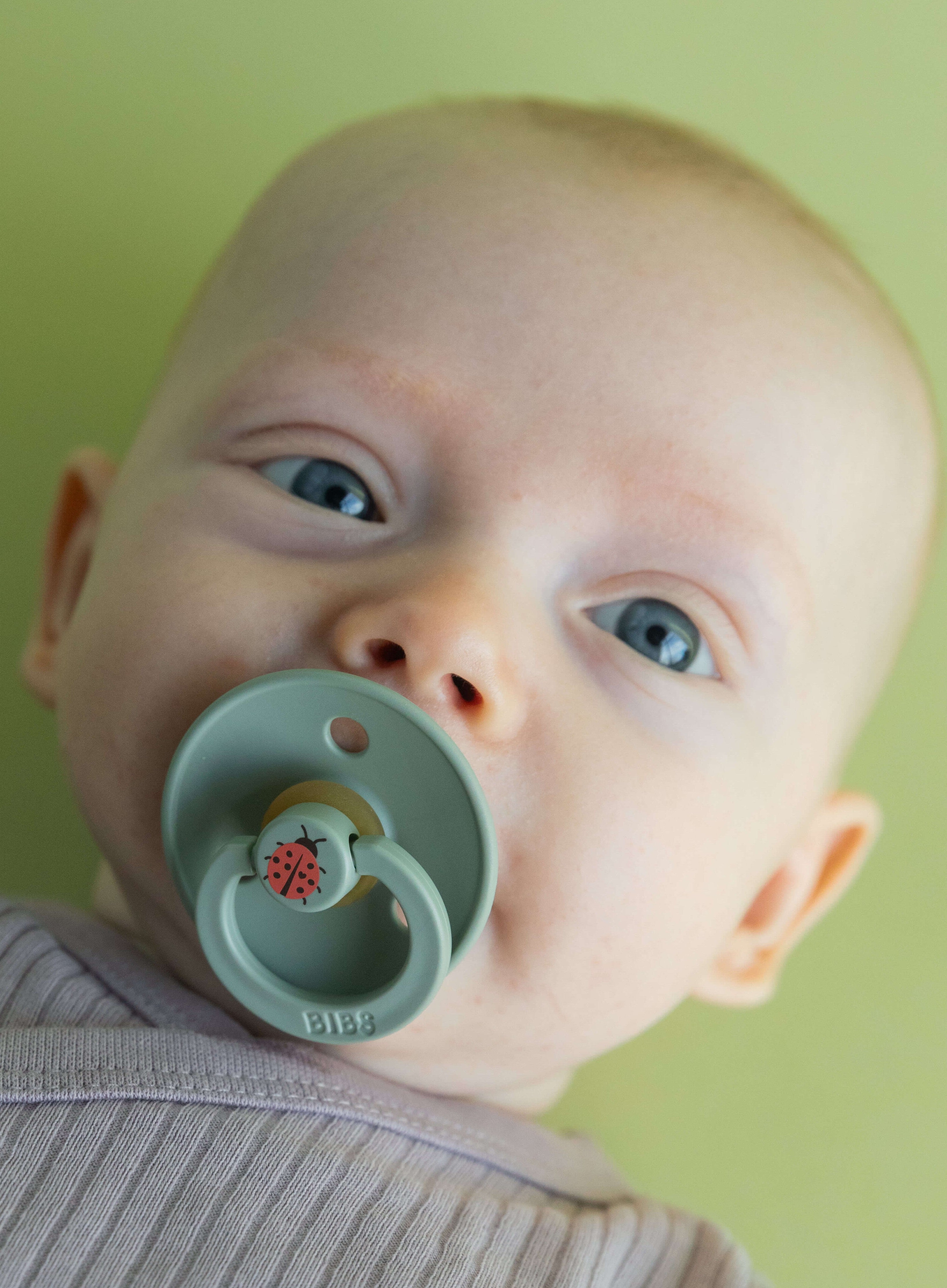 Bibs Studio Colour Ladybug Emzik-Sage