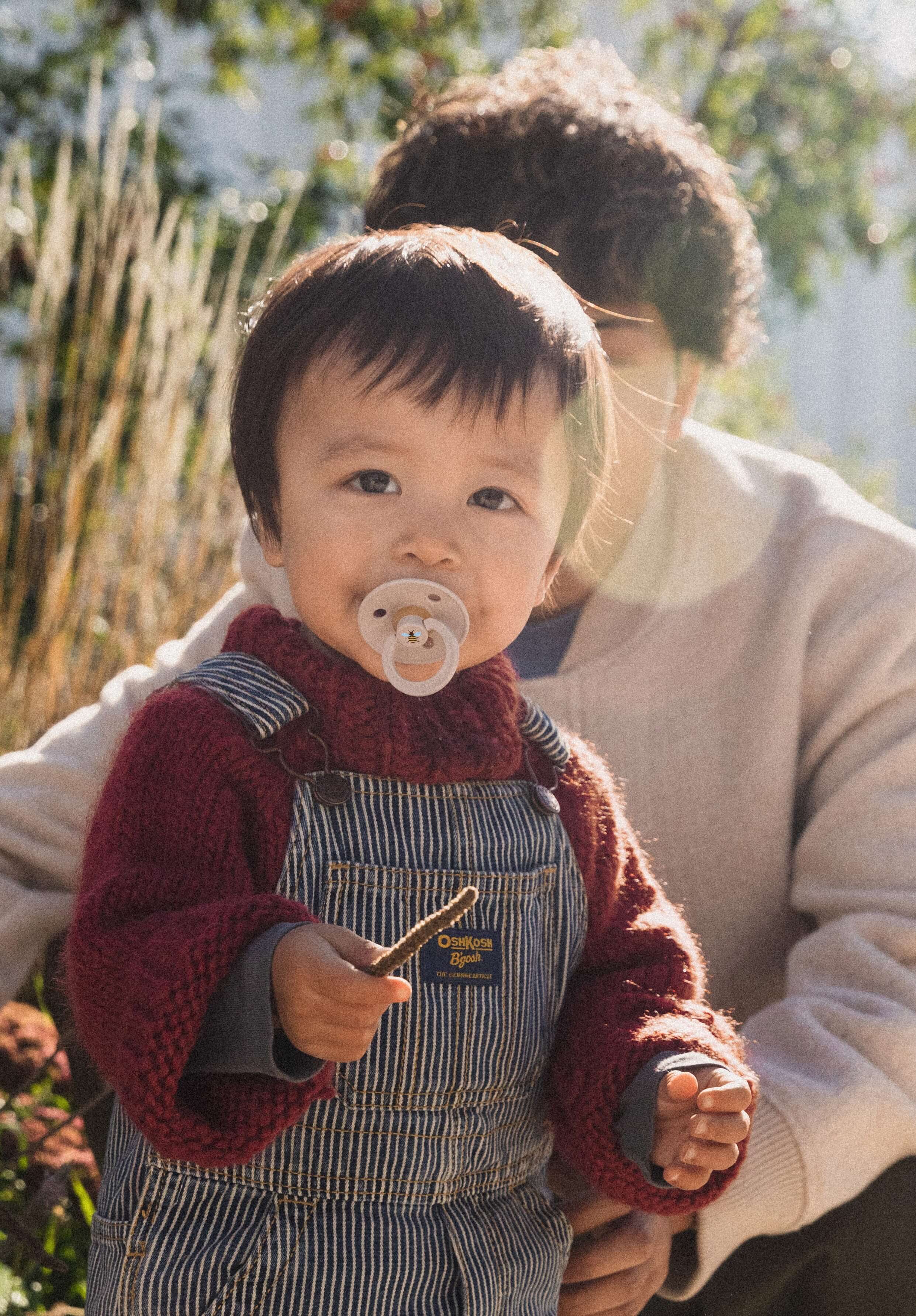 Bibs Studio Colour Bumblebee Emzik- Mushroom