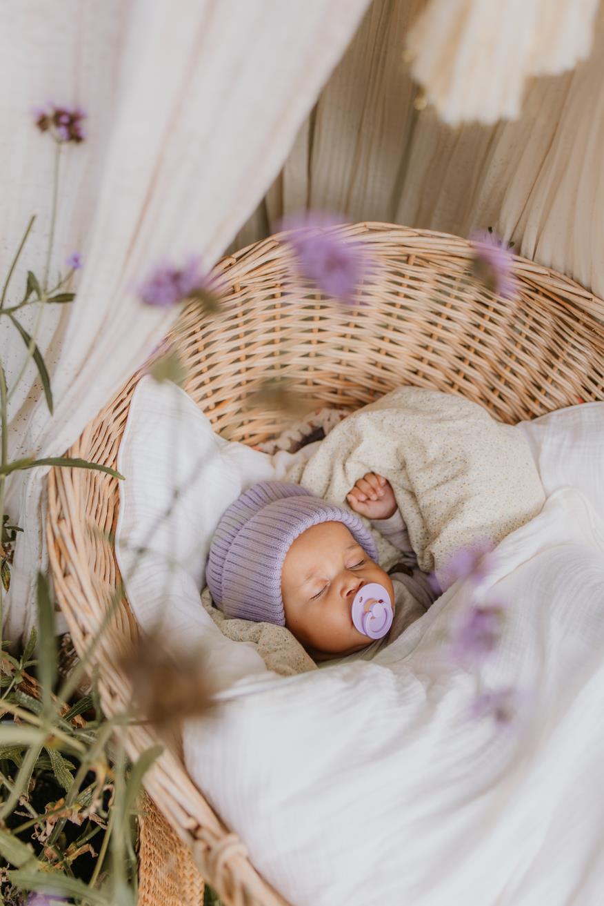 Bibs Colour Kauçuk Emzik - Violet Sky